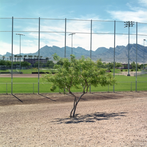 Jens Sundheim – Summerlin #1411