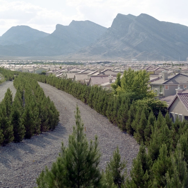 Jens Sundheim – Summerlin #3313