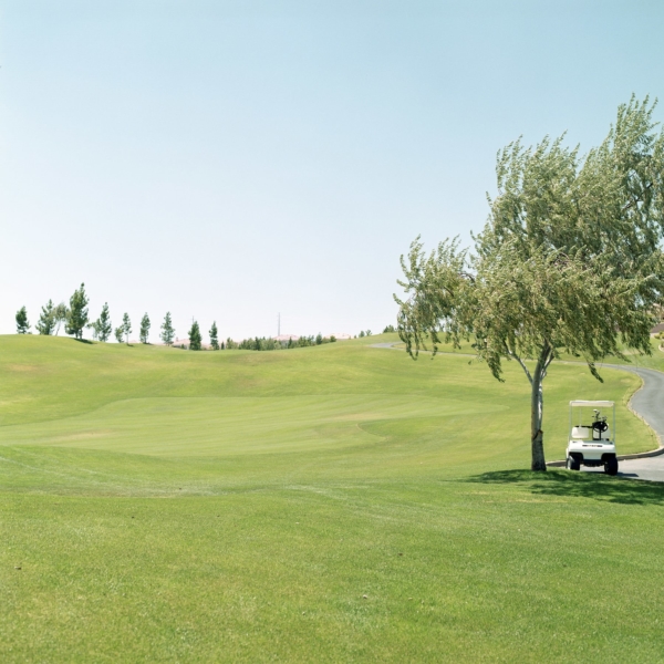 Jens Sundheim – Summerlin #8309